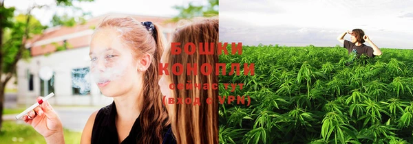 ПСИЛОЦИБИНОВЫЕ ГРИБЫ Беломорск
